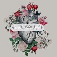 TikTok Account - oaun.11