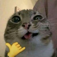 TikTok Account - grup.starlight_fr