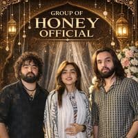 TikTok Creator - honeybrotherofficial