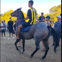 TikTok Account - dronesnooo77