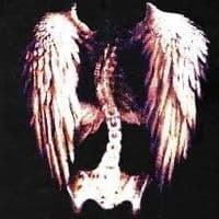 TikTok Account - rrinoplastiks