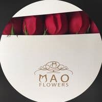 TikTok Account - maoflowers_