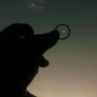 TikTok Account - mba.nung07