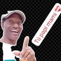 TikTok Account - elpapilight_1412