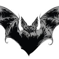 TikTok Account - mobi_.typist