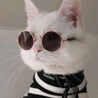 TikTok Account - gloud58