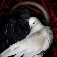 TikTok Account - astrophile_444