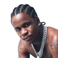 TikTok Account - swanny_hq