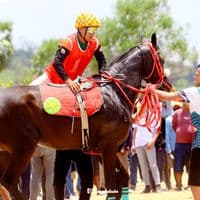 TikTok Account - ferdhyrahman07