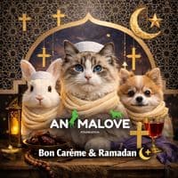 TikTok Account - phillippetsesanimaux1