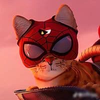 TikTok Account - z.h.e.2