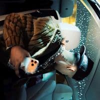 TikTok Account - hqwz_c._