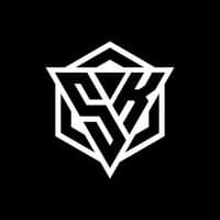 TikTok Account - skmusik1