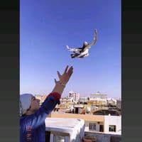 TikTok Account - rozzzzzz47