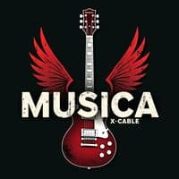 TikTok Account - alyrics.vinil