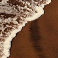 TikTok Account - digi_2007