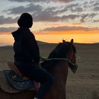 TikTok Account - username9875599