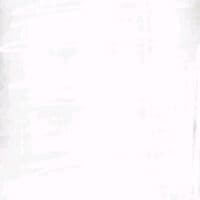 TikTok Account - fkdausuario