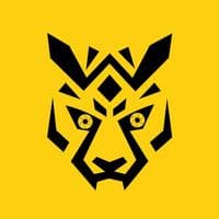 TikTok Account - ittistudio