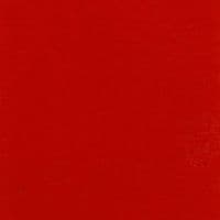 TikTok Account - thibos_thedooon