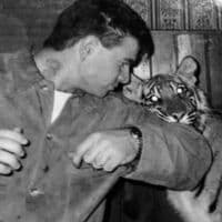 TikTok Account - aaleeeeksaaa