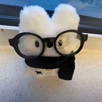 TikTok Account - winter13102011