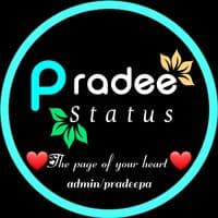 TikTok Account - pradeestatues