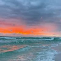 TikTok Account - duke_is_an_alien1