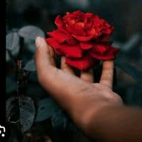 TikTok Account - __durqun__