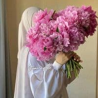 TikTok Account - amera.alhlo