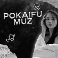 TikTok Account - pokaifmuz