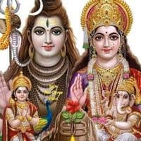 TikTok Account - jayshivashankar12