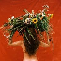 TikTok Account - qgdaanitta