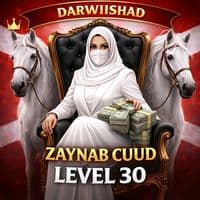 TikTok Account - aamiin4544