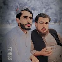 TikTok Account - wazirpardees