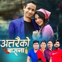 TikTok Account - tulsisapkotaofficial