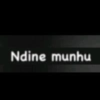 TikTok Creator - fifiejameson