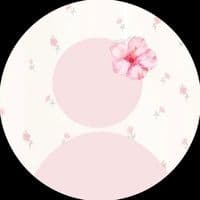 TikTok Account - leticia.fatima04