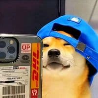 TikTok Account - angel_cheemsito