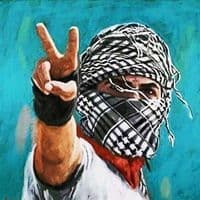 TikTok Account - scorpion325tahyapalestin