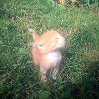 TikTok Account - music_1853