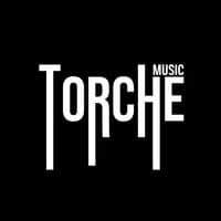 TikTok Account - torchemusic