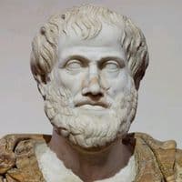 TikTok Account - bir_filosof