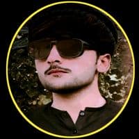 TikTok Account - _gulzarwrites