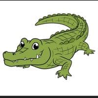 TikTok Account - mrrmokopelane33