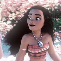 TikTok Account - fylyrcs.com_