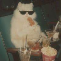 TikTok Account - hey_pablo.oficial