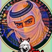 TikTok Account - 9mr067