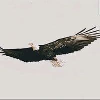 TikTok Account - 712..1