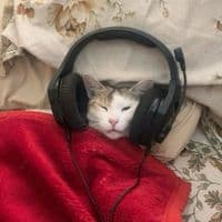 TikTok Account - itsmediyaca